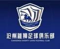 沧州雄狮/石家庄永昌那些外援今何在