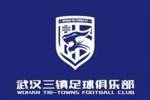 廖承坚、汪晋贤、郑凯木、邵镤亮自由转会武汉三镇