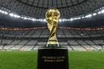 FIFA副主席：英国应申办男足世界杯 世界杯扩军会削弱预选赛价值