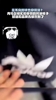 品牌方沉默！内马尔被拍到穿假的阿迪达斯裤子😂