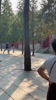 修行第五天了！文班这&ldquo;第一高僧&rdquo;跑起来，一步顶别人两步吧🤣