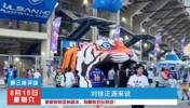 成都蓉城亚冠对手揭晓，看看他们都有那些特点？