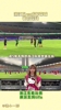 浙江vs成都赛前:浙江看台将现tifo,成都遭遇伤病潮,全队期待守住