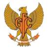 加鲁达FC